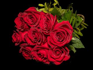 Buchet 9 trandafiri rosii