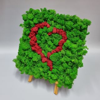 Tablou licheni stabilizati "inima" 30x30 cm