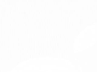 File de salau in mantie de fulgi de porumb