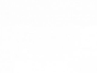 Salau provincial cu mamaliga