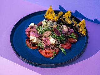 SĂRBĂTOAREA ROȘIILOR