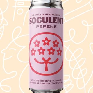 Soculent - socata artizanala cu pepene