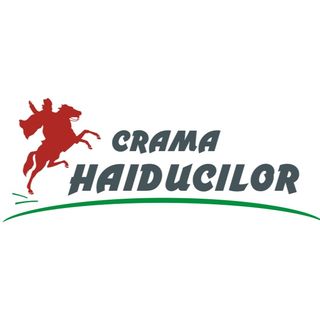 Ciorba taraneasca de legume 400g