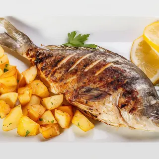 dorada