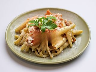 Penne cu ton -450 gr