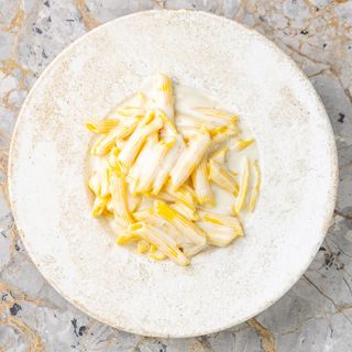 PENNE QUATTRO FORMAGGI