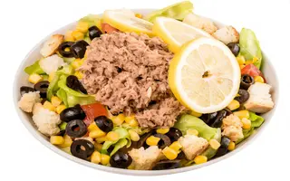 Salata ton