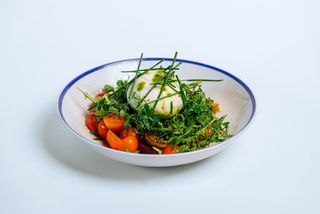 Fresh burrata