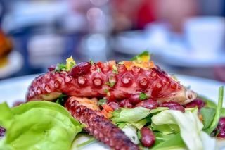 Caracatita grill cu sos tzatziki