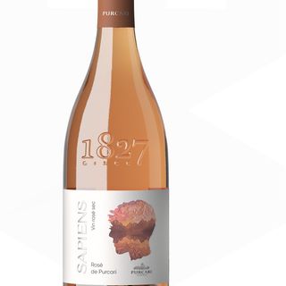 Purcari Sapiens Rose