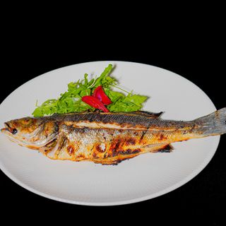 Lup de mare la gratar