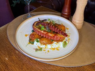 Mediteranian Octopus
