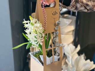 Zambilă în căsuță kraft