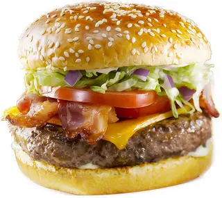 Burger special 240gr