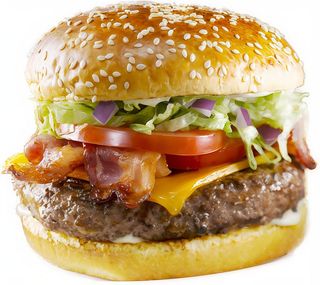 Burger special 240gr