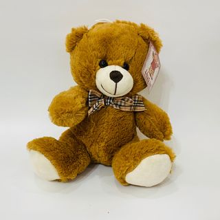 Urs  de plus mediu maro