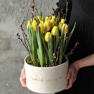 Aranjament 19 lalele galbene