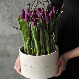 Aranjament 19 lalele mov