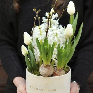 Aranjament Incantare pura