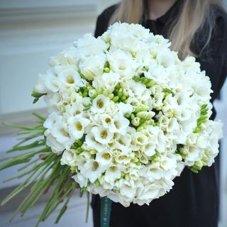 Buchet 101 frezii albe