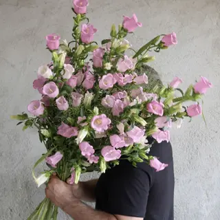 Buchet Roz salbatic
