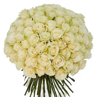 Buchet 101 trandafiri albi