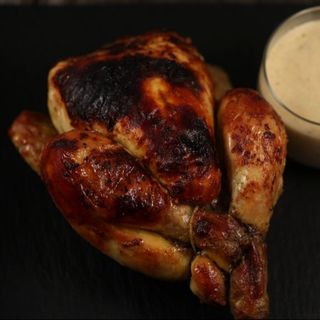 Cocosel de munte (COQUELET)