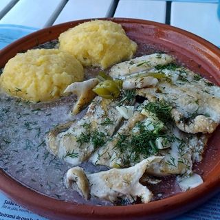 Saramură albă de știucă