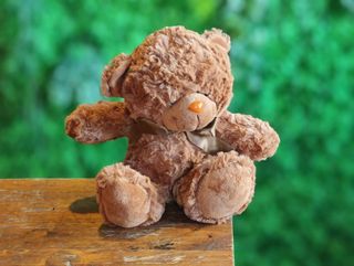 Ursulet de plus mic maro