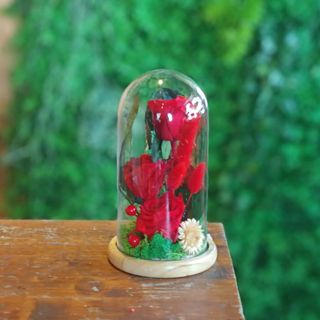 Cupola 3 trandafiri criogenati