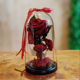 Cupola trandafir criogenat