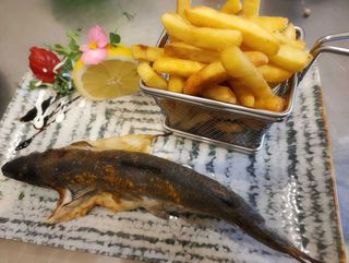 Păstrăv la cuptor cu mamaliguta si mujdei