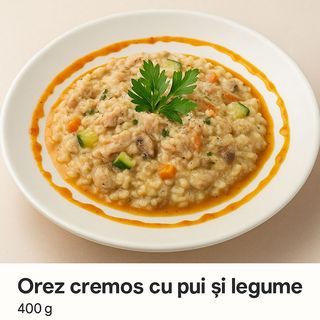 Orez cremos cu pui și legume
