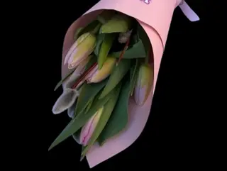Buchet Lalele in Con XS(5)