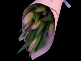 Buchet Lalele in Con XS