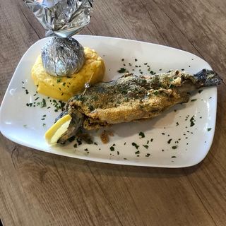 Păstrăv la grill/malai