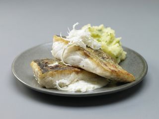 Biban de mare grill