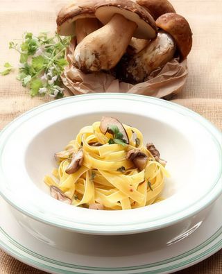 Tagliatelle porcini