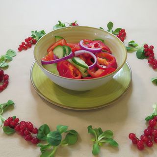 Salata asortata de vara