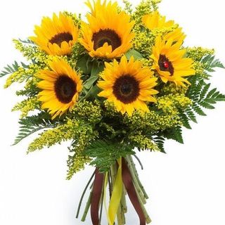 Buchet 7 fire floarea soarelui