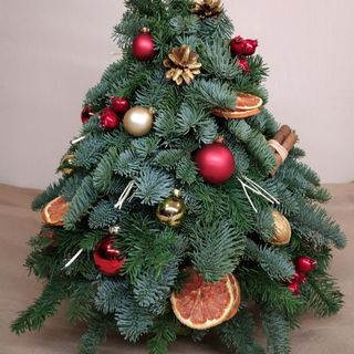 Brad din craci naturale