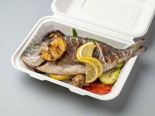 Dorada la gratar cu legume la gratar