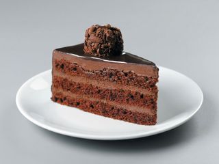 Home-made chocolate cake with ice cream