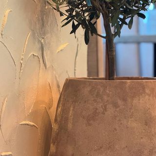 Senvicione cu pui și sos cedar