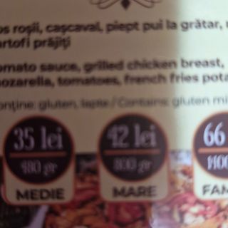 Pizza Shaorma (family)