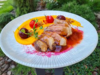 Piept de raţă cu piure de morcov si sos de vin rosu