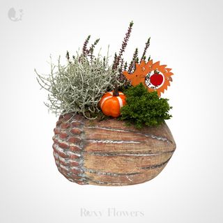 Terariu decorativ în ghindă