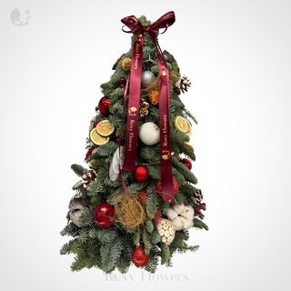 Poveste Picantă de Iarnă