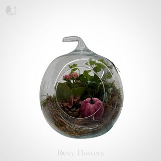 Terariu cu plante în formă de dovleac