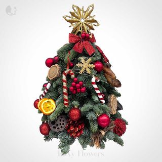 Sclipire de Crăciun